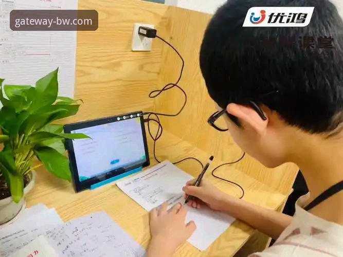 宝威体育官网登录问题全面评测：常见障碍与高效解决方案深度分析