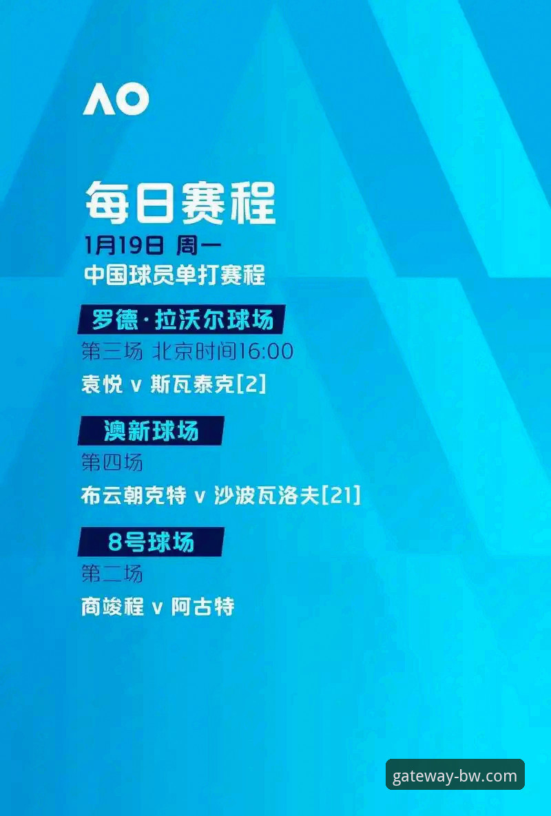 揭秘宝威正版入口：体育服务平台的进化之路与用户选择指南