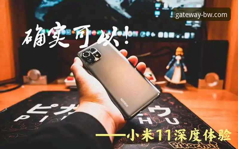 宝威体育官网全方位使用指南：从安全访问到深度体验